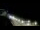 Webcam in Ocean City, Maryland, 120.6 km