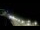 Webcam in Ocean City, Maryland, 54 km