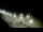 Webcam in Ocean City, Maryland, 20.8 mi away