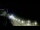 Webcam in Ocean City, Maryland, 23 mi away
