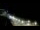 Webcam in Ocean City, Maryland, 40.6 km