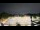 Webcam in Rockville, Maryland, 26 mi away