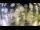 Webcam in Spencerport, New York, 12.6 km