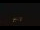 Webcam in Altoona, Pennsylvania, 113.7 km
