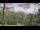 Webcam in Swanton, Maryland, 95.6 km
