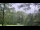 Webcam in Swanton, Maryland, 83.4 km entfernt