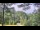 Webcam in Swanton, Maryland, 119.8 km