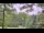 Webcam in Swanton, Maryland, 110 km