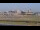 Webcam in Tampa, Florida, 106.3 mi away