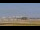 Webcam in Tampa, Florida, 5.4 km