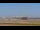 Webcam in Tampa, Florida, 70.5 mi away