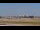 Webcam in Tampa, Florida, 12.7 mi away