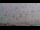 Webcam in Tampa, Florida, 69.4 km entfernt