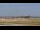 Webcam in Tampa, Florida, 95.7 km entfernt