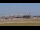 Webcam in Tampa, Florida, 2.1 mi away