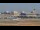 Webcam in Tampa, Floride, 52.3 km