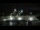 Webcam in Siloam Springs, Arkansas, 14.6 mi away