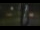 Webcam in Madisonville, Texas, 189.2 km