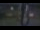 Webcam in Madisonville, Texas, 243.9 km