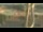 Webcam in Madisonville, Texas, 65 km