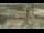 Webcam in Madisonville, Texas, 245 km