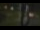 Webcam in Madisonville, Texas, 278 km