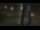 Webcam in Madisonville, Texas, 101.6 km