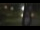 Webcam in Madisonville, Texas, 264.2 km