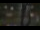 Webcam in Madisonville, Texas, 264.2 km