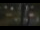 Webcam in Madisonville, Texas, 251.8 km