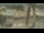 Webcam in Madisonville, Texas, 239.1 km entfernt