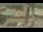 Webcam in Madisonville, Texas, 319.7 km entfernt