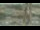 Webcam in Madisonville, Texas, 247.9 km
