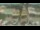 Webcam in Madisonville, Texas, 82 mi away