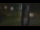 Webcam in Madisonville, Texas, 260 km