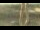 Webcam in Madisonville, Texas, 113.5 mi away