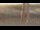 Webcam in Madisonville, Texas, 294.1 km