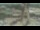 Webcam in Madisonville, Texas, 260 km
