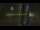 Webcam in Madisonville, Texas, 227.1 km