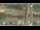 Webcam in Madisonville, Texas, 245 km
