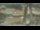 Webcam in Madisonville, Texas, 260 km