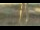 Webcam in Madisonville, Texas, 219.8 km entfernt