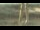 Webcam in Madisonville, Texas, 189.2 km entfernt
