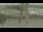 Webcam in Madisonville, Texas, 146.4 km