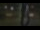 Webcam in Madisonville, Texas, 56.5 mi away