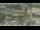 Webcam in Madisonville, Texas, 276.6 km