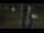 Webcam in Madisonville, Texas, 126.4 mi away