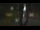 Webcam in Madisonville, Texas, 355.8 km