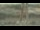 Webcam in Madisonville, Texas, 73.6 mi away