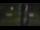 Webcam in Madisonville, Texas, 327.7 km